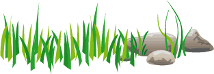 gras