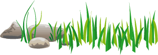 gras und steine